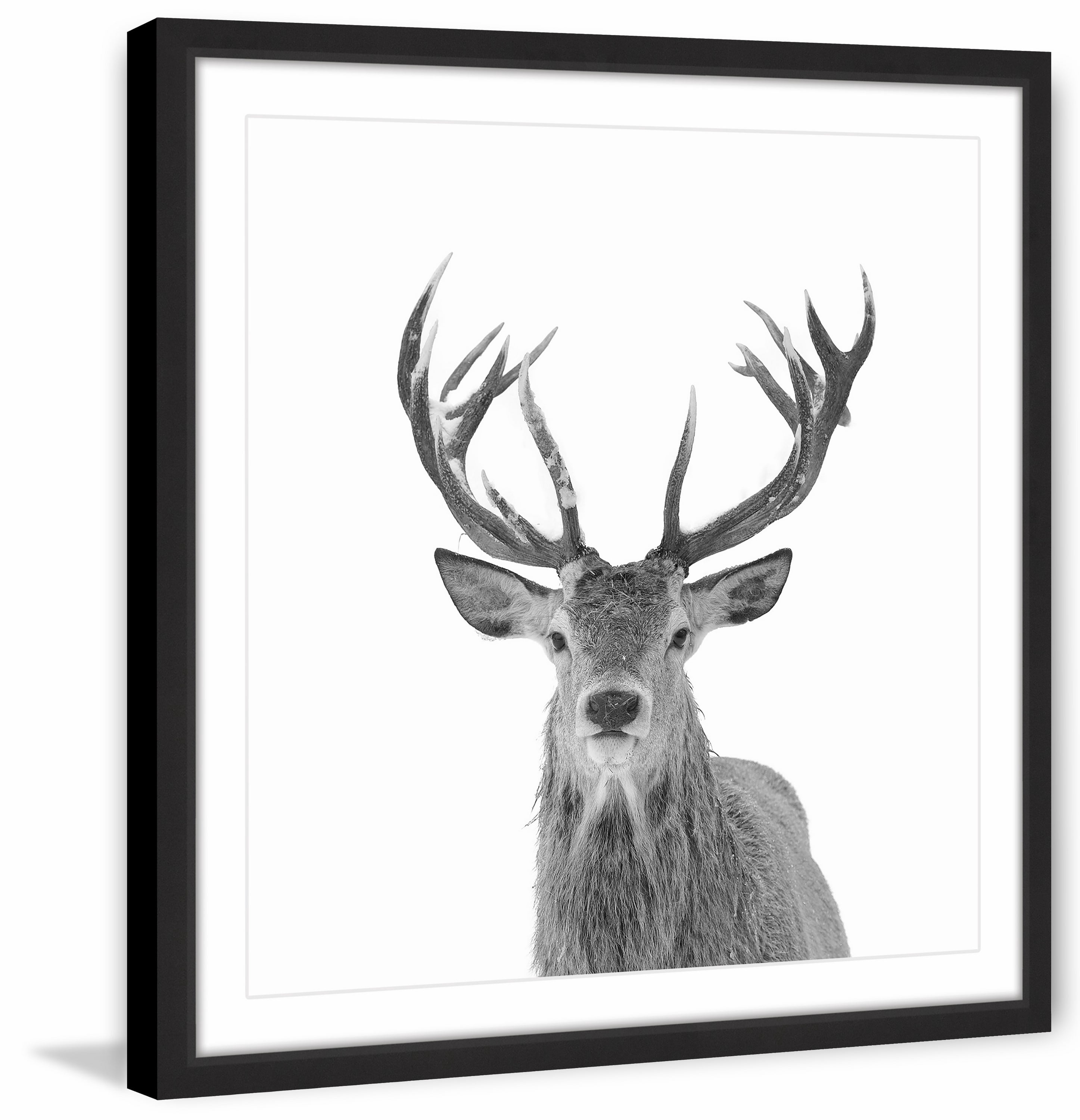 "Nobleness" Framed Painting Print
