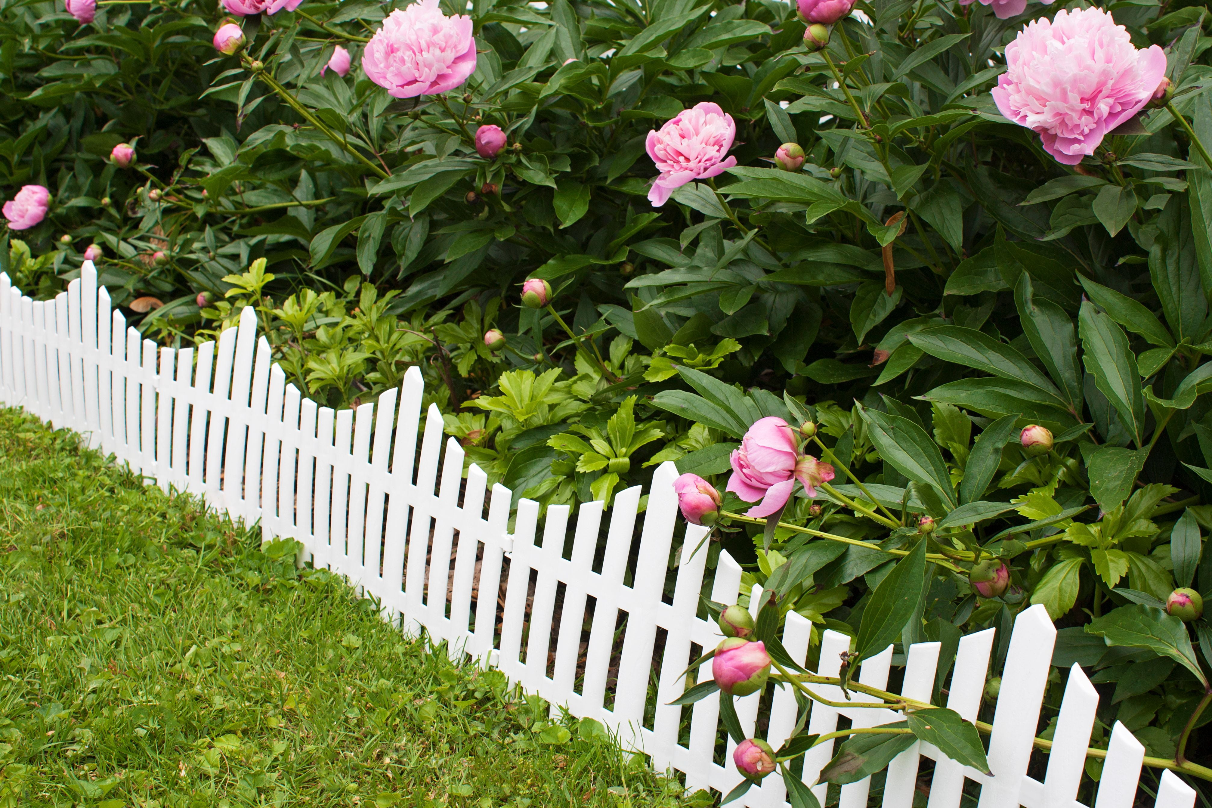 Picket Fence Style Decorative Fencing - White Border Edging - 13"x24" sections - 16' of Garden Edging