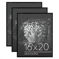 Americanflat 3 Pack Lightweight 16x20 Poster Frames - Black