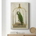 thumbnail image 6 of Green Parrot on Swing Premium Gallery Wrapped Canvas - Ready to Hang, 6 of 9