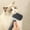 Grey, variant on SuoKom Dog Brush, Cats Brush, Dog Brush for Shedding, Self Cleaning Pet Brush for Grooming Long Short Haired Dog Cats, Cats Brushes for Indoor Cats
