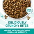 thumbnail image 4 of Purina ONE Plus Dry Cat Food Sensitive Skin & Stomach, Natural Turkey, 22 lb Bag, 4 of 12