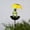 B, variant on KOYPTL Solar Bird Feeder with LED Lights,Iron Frog with Umbrella for Garden Decor,Hummingbird Feeder Pathways Plug Lights for Outside Yard Decorations Outdoor Patio Lawn Flower Ornaments (Tortoise)
