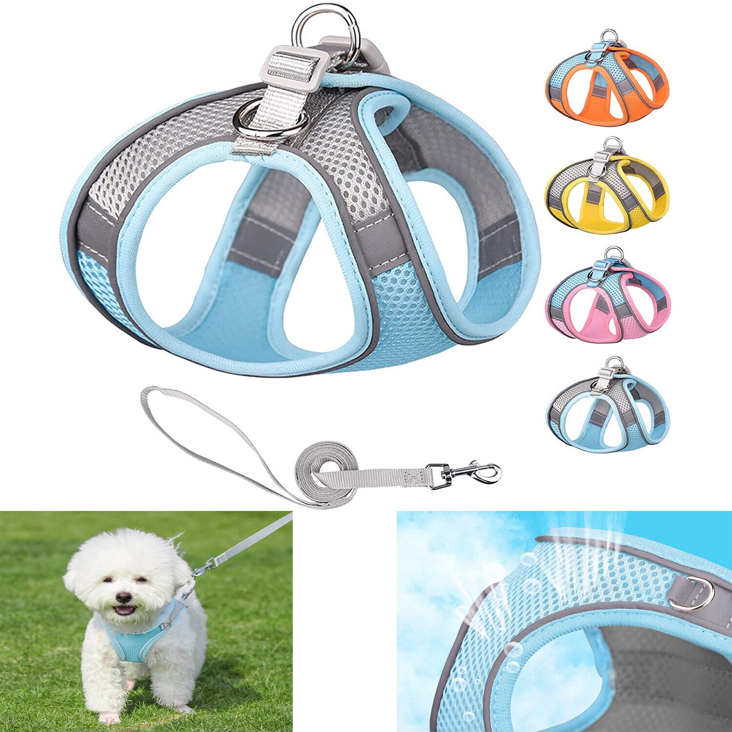 Buy xxs dog best sale harness