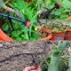 thumbnail image 3 of Kit de riego por goteo - 25 m Micro riego por goteo Jardín ajustable Sistema de riego automático DIY para jardín, césped, plantas, pago, 3 of 4