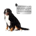 thumbnail image 4 of Alimento para PERROS CROKIPET 20 KG, 4 of 9