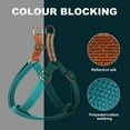thumbnail image 3 of Didog No Pull Dog Harness Soft Adjustable Nylon Step in Puppy Strap Vest Outdoor Walking, 3 of 5