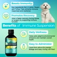 thumbnail image 3 of Welsdom Pets Immune Support Liquid Supplement - 60mL | Comprehensive Immune Boost for Cats & Dogs | Antioxidant-Rich Formula | Promotes Digestion & Recovery | Easy-to-Administer Veterinary Blend, 3 of 6