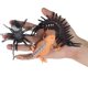 thumbnail image 5 of Juego de 10 piezas de plástico Sunnimix figuritas de insectos salvajes, 5 of 7