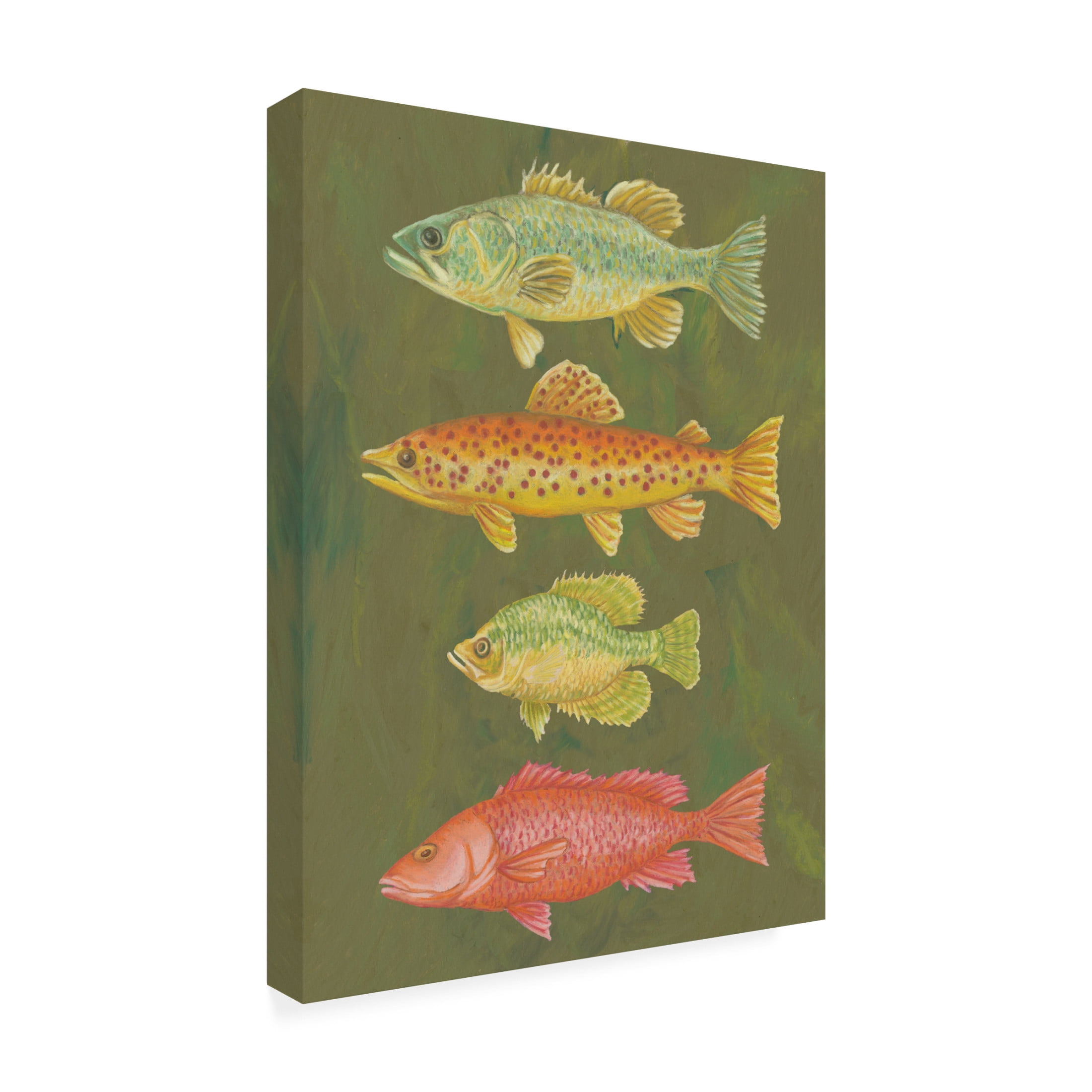 Canvas Wall Art - Andrea Strongwater 'Fish Chart Loden' Wall Art for Living Room, Bedroom, or Office Décor by Trademark Fine Art - 24 x 32 Inches