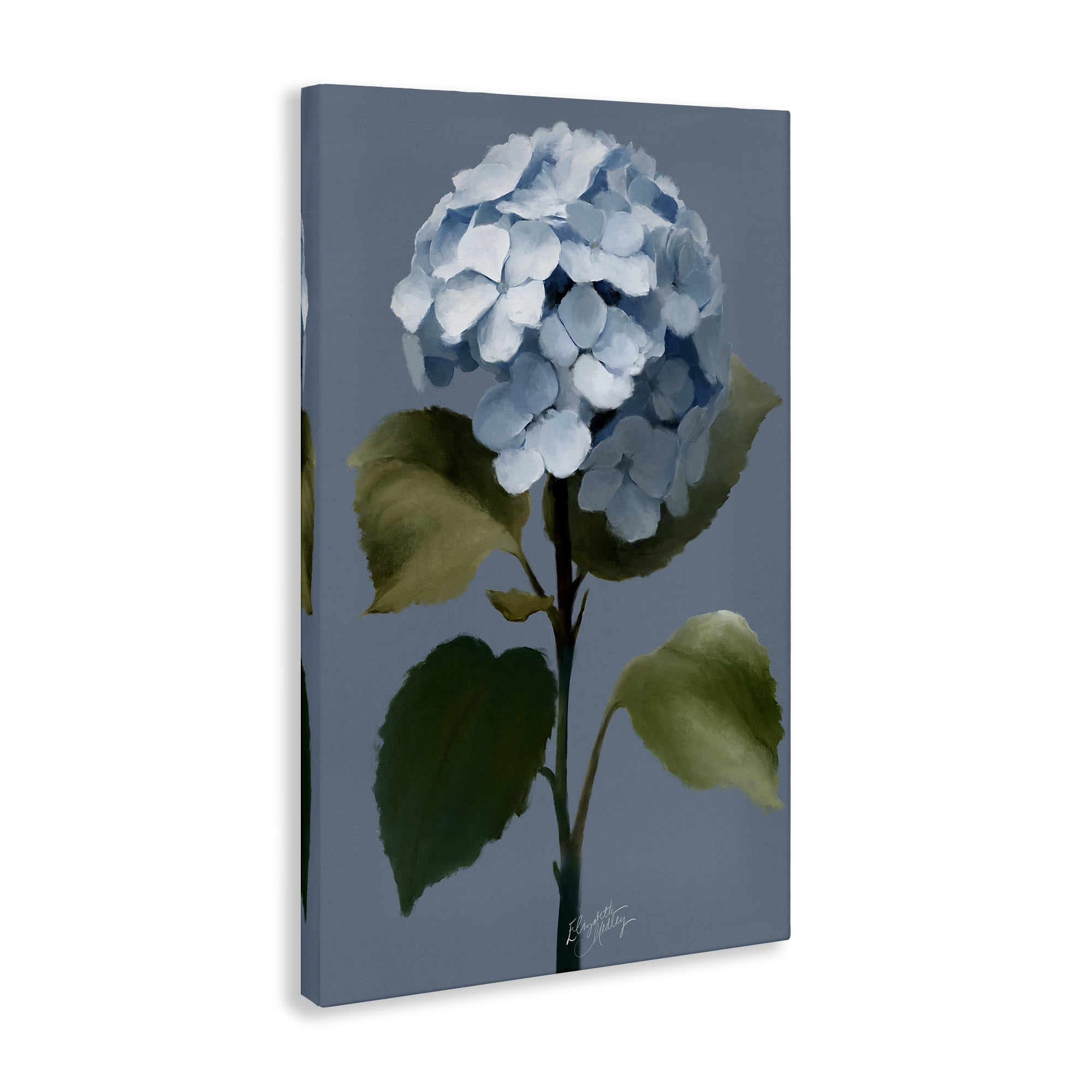 Stupell Industries Delicate Blue Hydrangea Plants & Flowers Painting Wrapped Canvas Art Print Wall Art, 24 x 36