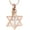 Rose Gold, variant on Star of David Urn Necklace for Ashes Cremation Jewelry for Women Men Stainless Steel Memorial Necklaces Ash Holder for Human / Pet