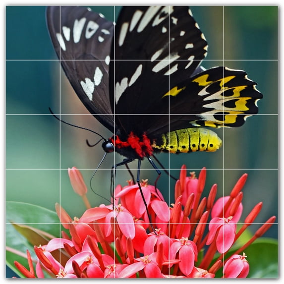 Picture-Tiles.com: Butterfly Ceramic Tile Wall Mural WAL500281-55S. 21.25"W x 21.25"H using (25) 4.25" x 4.25" Ceramic Tiles-Satin Finish