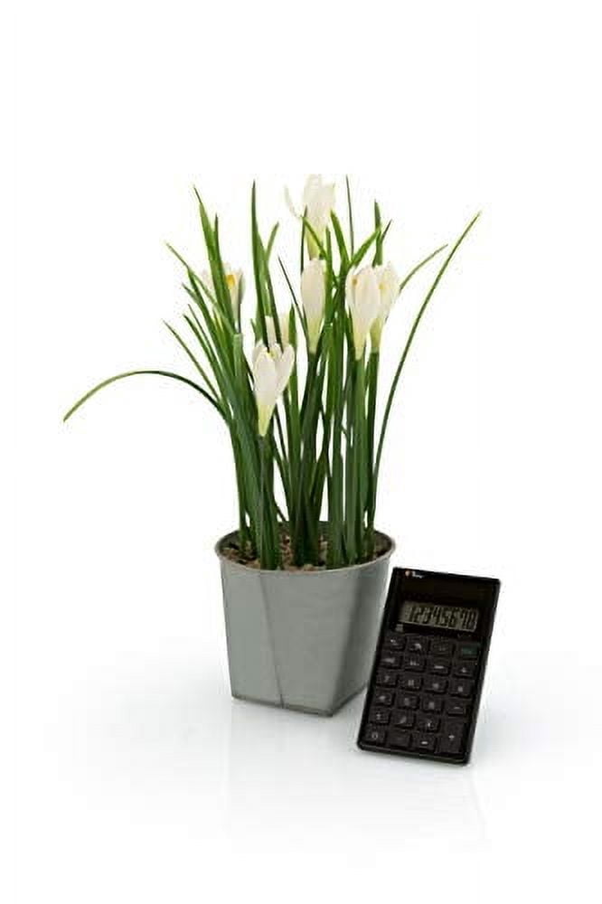 Twen Eco 8 Eco Friendly Calculator