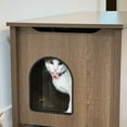 thumbnail image 4 of Parker Designer Catbox Litter Box Enclosure in Brown, 4 of 7