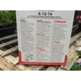 thumbnail image 3 of Nourriture Evergro Rose (6-12-16), 3 of 3