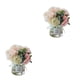 thumbnail image 3 of Advancent 2 pack/lote de flores artificiales en jarrón, flores artificiales elegantes, duraderas y de bajo mantenimiento Type1 NO1, 3 of 6