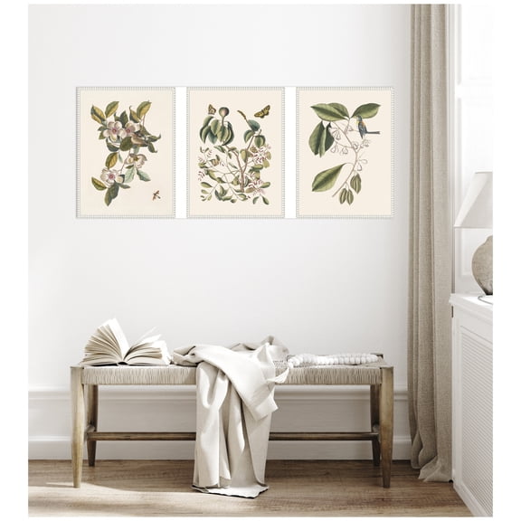 Kate and Laurel 1754 Mark Catesby Botanicals and Avian Studies 3 Piece Framed Canvas Wall Art Set by Nostalgia Prints, Sylvie Beaded White Vintage, Flower Art for Wall Decor