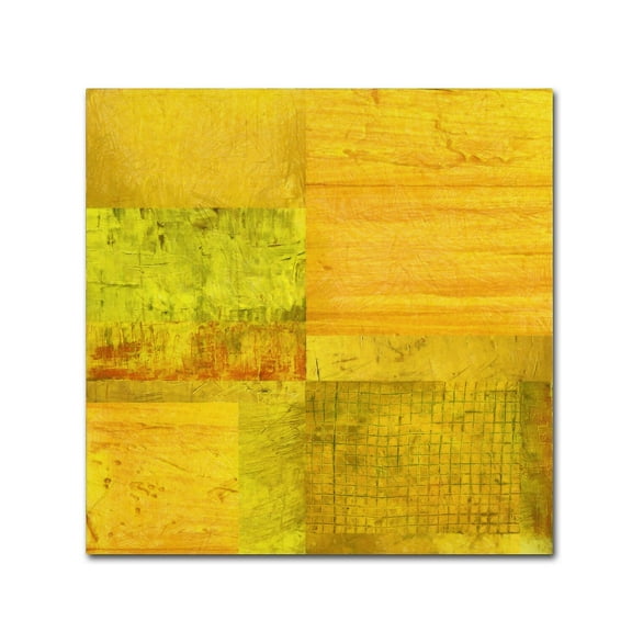 Trademark Fine Art Michelle Calkins 'Essence of Yellow' 14" x 14" Canvas Stretched (190836071661)