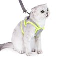 thumbnail image 4 of Arnés y correa para gatos a prueba de fugas para caminar, suave, ajustable, transpirable, para perros pequeños, gatos, gatitos, cachorros, 4 of 5