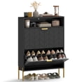 thumbnail image 1 of HOMCOM Armoire à Chaussures avec 2 Tiroirs Basculants, Armoire de Rangement à Chaussures Mince, Noir, 1 of 10