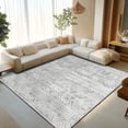 thumbnail image 5 of Pentantan Area Rugs 6'x9', Machine Washable Neutral Geometric Living Room Rug, Soft Moroccan Indoor Carpet for Bedroom, Gray, 5 of 7