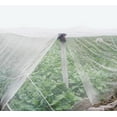 thumbnail image 4 of Agfabric Standard Insect Screen & Garden Netting against Bugs, Birds & Squirrels - 20ft x 30ft of Mesh Netting, White, 4 of 6
