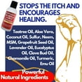 thumbnail image 3 of Tamed Organics, 3 of 10