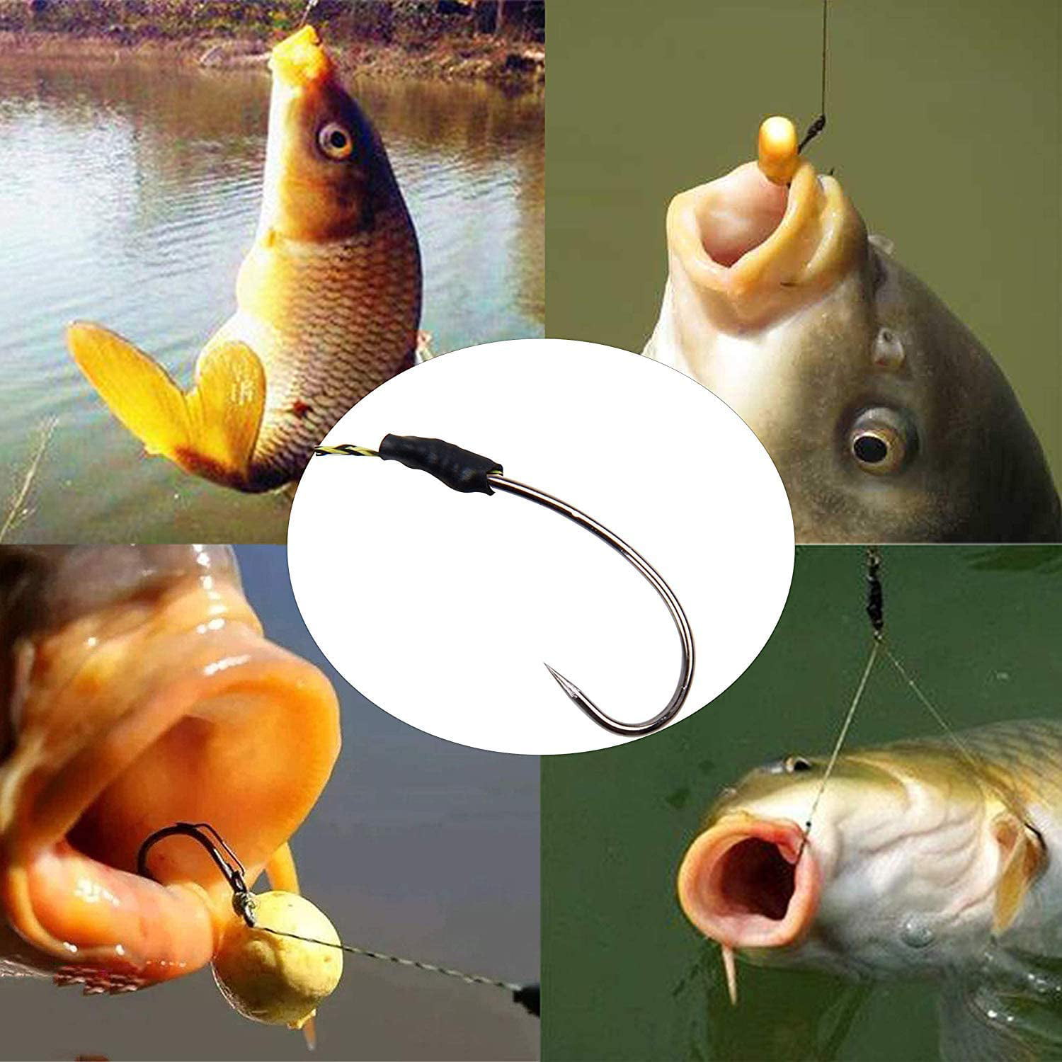 Curve Shank Carp Hooks Barbless 3 Colour Options For Carp Fishing Tackle Rigs 