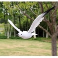 thumbnail image 5 of HANXIULIN 1PC Fake Artificial Feathered Pigeon Decoy Realistic Seagull Garden Decor M, 5 of 8