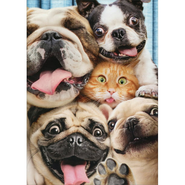 Avanti Press Dog/Cat Photo Booth Funny Pop Up Stand Out Funny Birthday Card  