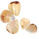 thumbnail image 3 of 0, 3 of 5