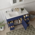 thumbnail image 4 of 48 in. W x 21 in. D x 32.5 in. H Bath Vanity Cabinet without Top in Blue, 4 of 5