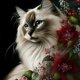 thumbnail image 1 of (V5000) Resina Diamante Serie Huahua Y Gatito Con Diamantes Completos 30*30CM, 1 of 9
