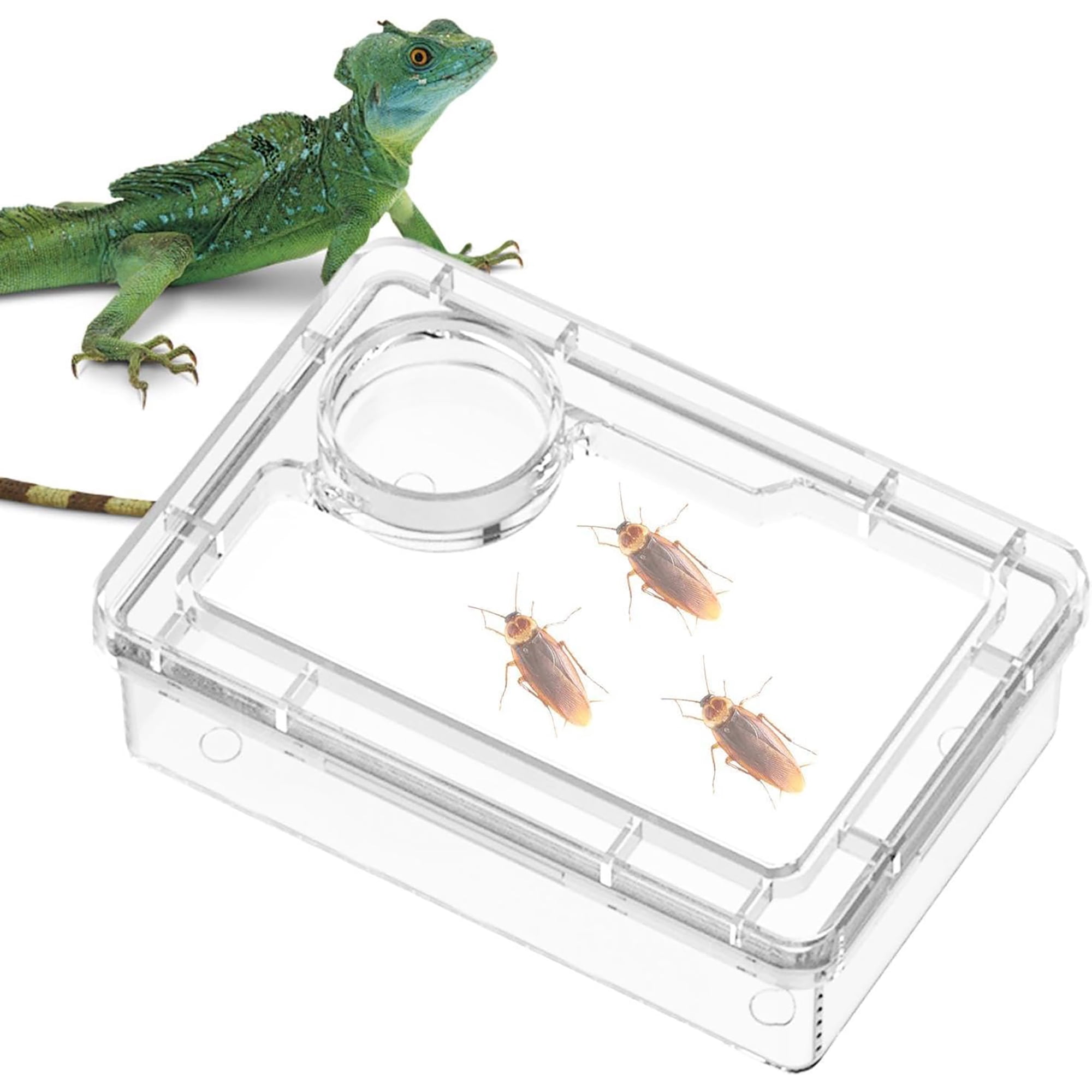 ACDANC Anti-Escape Crested Gecko Food Dish, Transparent Chameleon Feeding Bowl, Acrylic Reptile Amphibian Habitat Feeders, Pet Supplies, for Tortoise Frog Snake Terrarium Lizard Spider