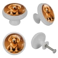 thumbnail image 4 of Dog Crystal Knobs with Screws - 4-Pack Round Fluorescent Drawer Pulls, Glow-in-the-Dark Cabinet Pulls, Suitable for Cabinets, Wardrobes, 4 of 6