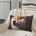 thumbnail image 5 of Lsque Regal Shiba Inu Pattern Pillow Case – Soft & Cozy Throw Pillow Cover, Hypoallergenic Cushion Case for Sleeping Women with Envelope Closure-20"x30", 5 of 6
