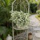 thumbnail image 5 of Flores artificiales de gypsophila | Tallos de paniculata artificial para centros de mesa de boda y decoración del hogar | Paquete de 3 ramos para arreglos en jarrones, 5 of 8