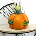 thumbnail image 5 of Holloyiver Halloween Resin Pumpkin Planter Pot Succulent Planter, Cute Pumpkin Face Planter, Orange Pumpkin Vase for Fall Indoor Outdoor Plants Harvest Thanksgiving Halloween Home Decor, 5 of 6