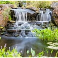 thumbnail image 4 of Anjon Manufacturing BFED6500 Big Frog EcoDrive Waterfall Pump 6500 GPH, 4 of 6