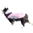 thumbnail image 3 of Chaleco De Refrigeración Para Perros De Verano, Ropa Para Mascotas, Arnés De Refrigeración Para Perros, Chaleco Reflectante Ajustable Vogacara PT002316-14, 3 of 6