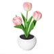 thumbnail image 1 of Lámpara de Tulipán Luces Lámpara de Mesa Lámpara de Escritorio de Flores Luz de Noche de Tulipán LED para Sala de Estar Dormitorio para Sala de Estar en Casa, 1 of 5