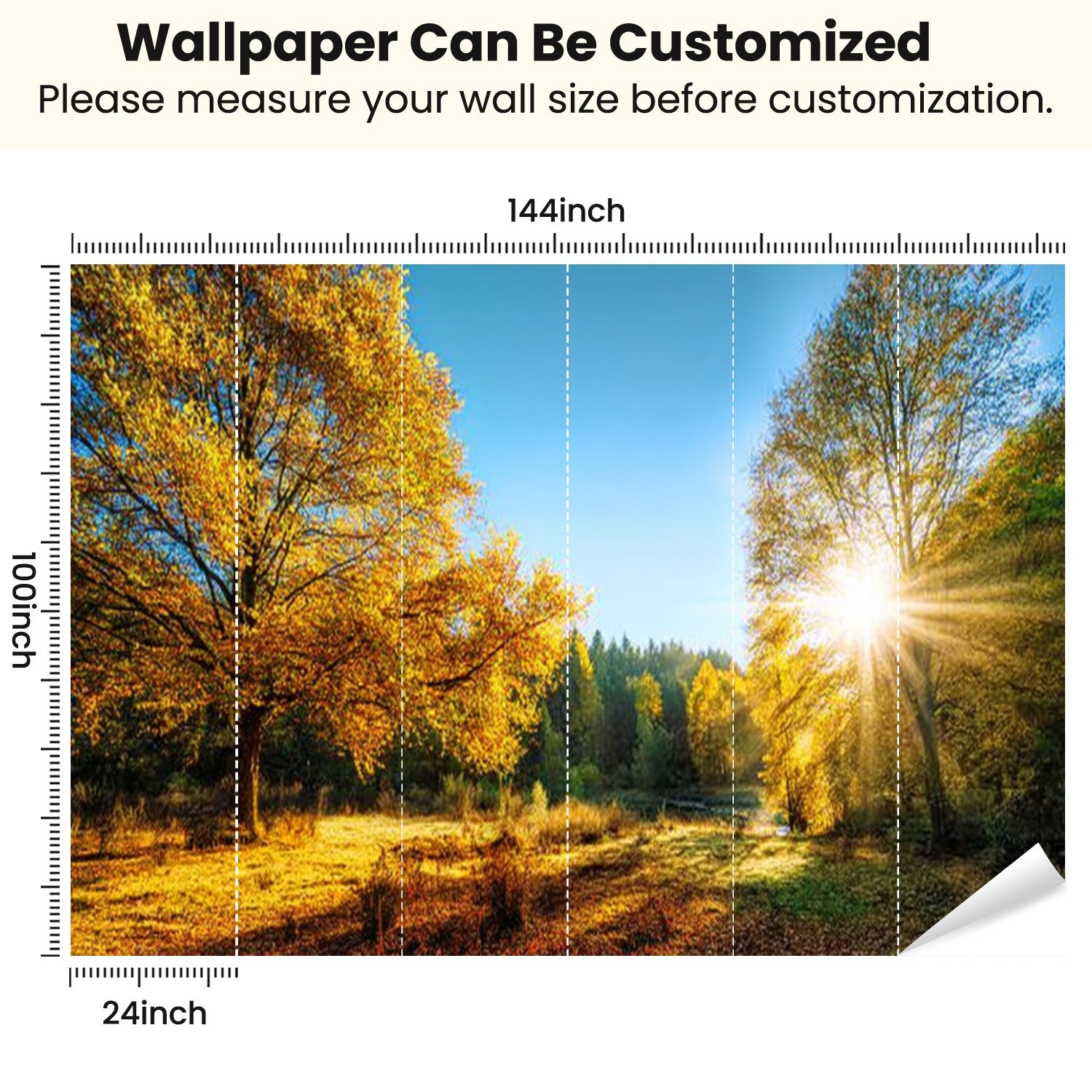 Peel and Stick Wallpaper Sunny autumn scenery an idyllic park Modern Art Wall Mural Decor Self Adhesive and Removable 100in x 144in