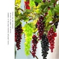 thumbnail image 6 of Yesfashion Artificial Fake Grape Lifelike Fruits Home Decorative Grape Photography Props For Wedding Party Decor, 6 of 8