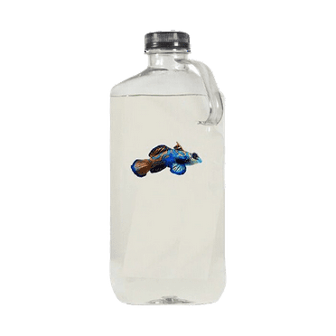 Live Copepods 5 Species (32-ounce bottle) - Fast Free Shipping
