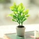thumbnail image 4 of Planta verde en miniatura, Planta verde en miniatura artificial Planta verde artificial Planta en maceta artificial Uso conveniente, 4 of 8