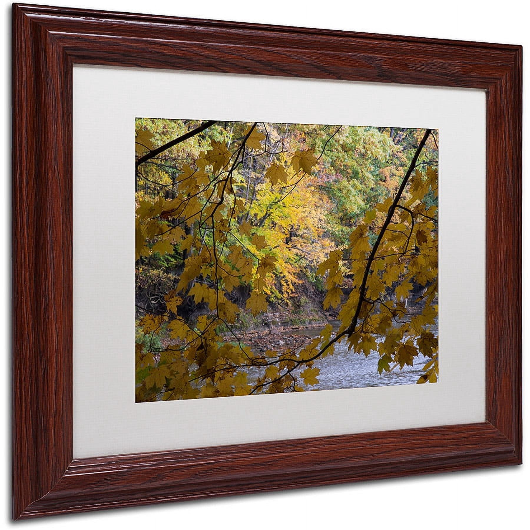Trademark Fine Art "Brilliant Ohio Autumn" Canvas Art by Kurt Shaffer, White Matte, Wood Frame