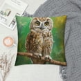 thumbnail image 2 of Orinice Owl Branch Graphic Decorative Pillow Cover for Home Couch Living Room Bed Sofa 24x24in, 2 of 5