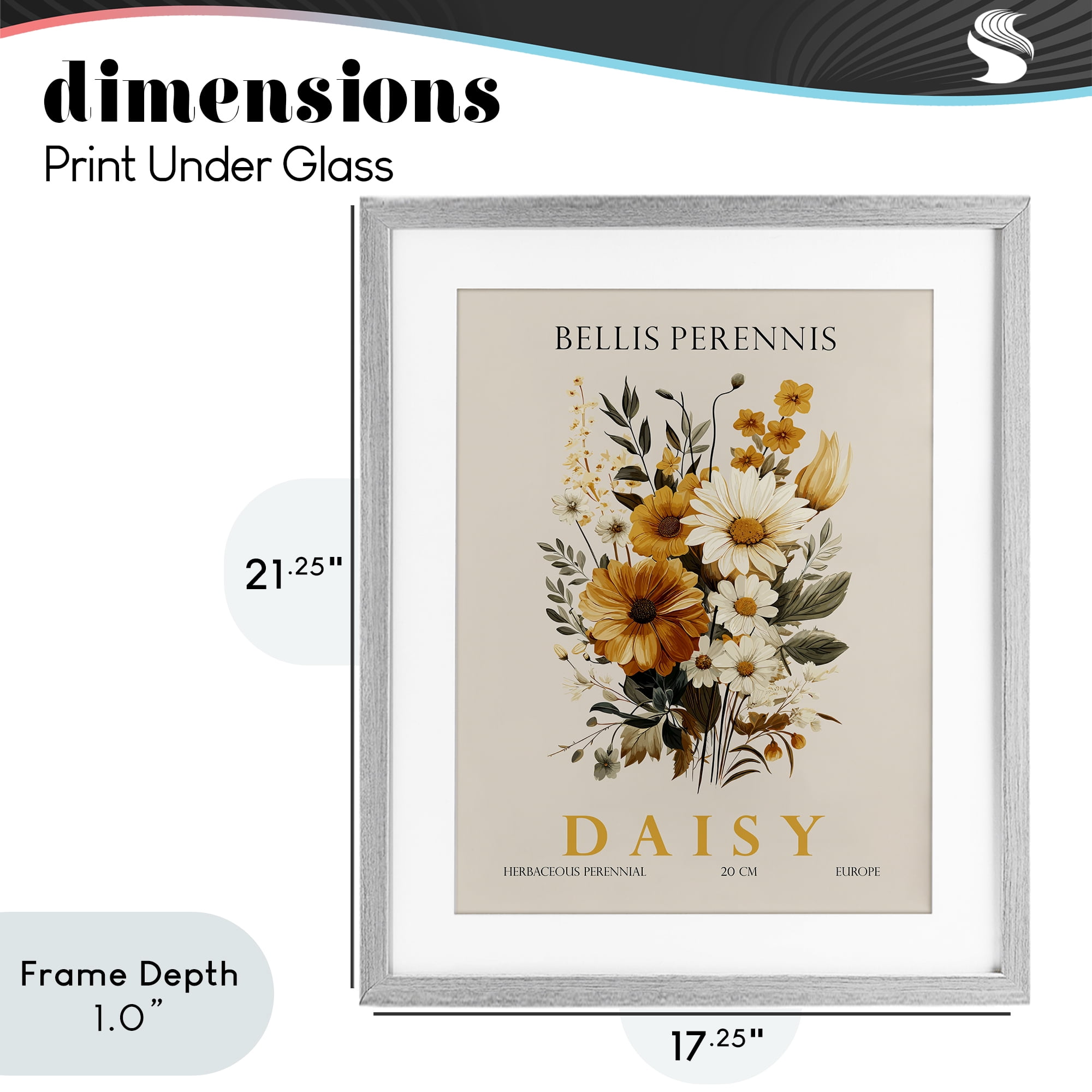 Stupell Industries Nature Daisy Bundle Gray Framed Print Under Glass, design by Christopher Giampietro