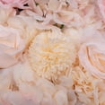thumbnail image 5 of Miumaeov 6Pcs Artificial Flowers Wall Romantic Rose Flower Wall for Background Decoration Roses Wall Panel Hanging Wedding Venue Main Road Decor Silk Flower Panels Photo Backdrop Decor, 5 of 9